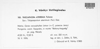 Moreaua aterrima image